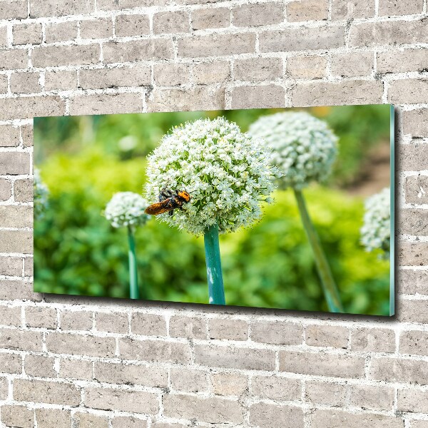 Wall art on glass Flowering garlic