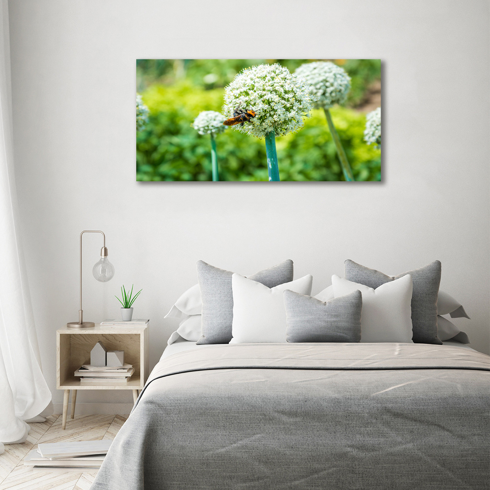 Wall art on glass Flowering garlic