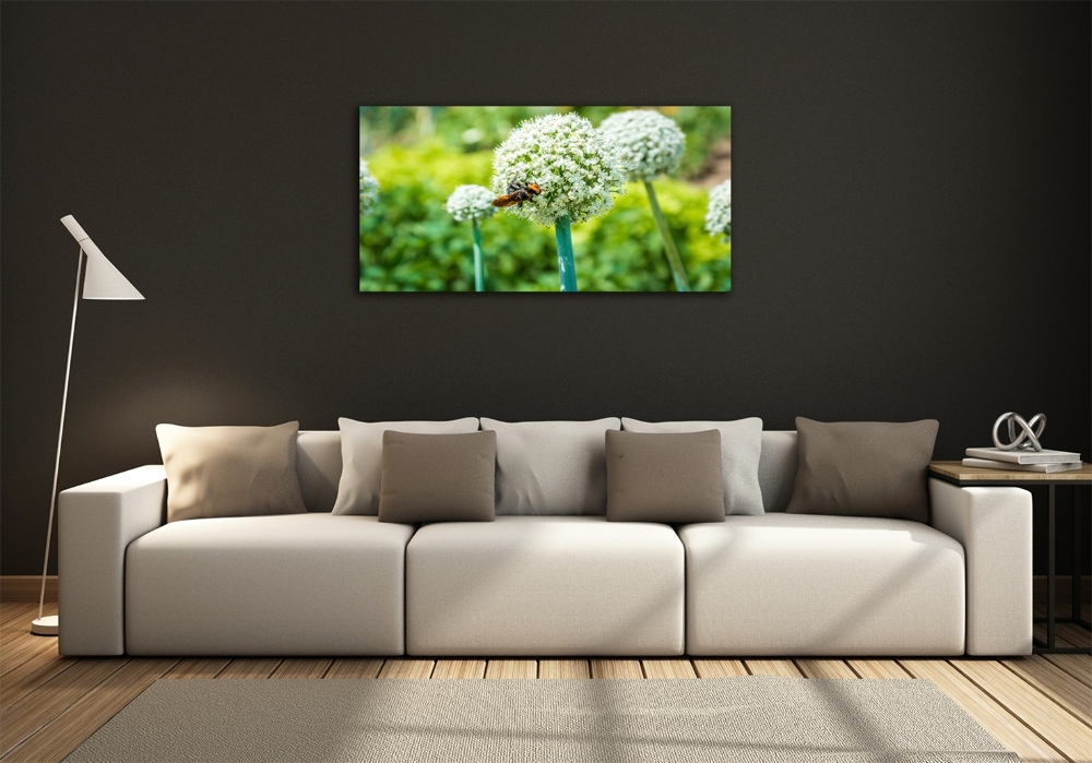 Wall art on glass Flowering garlic