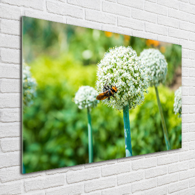 Wall art on glass Flowering garlic