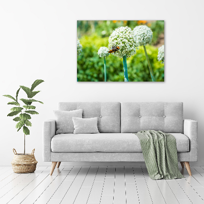 Wall art on glass Flowering garlic