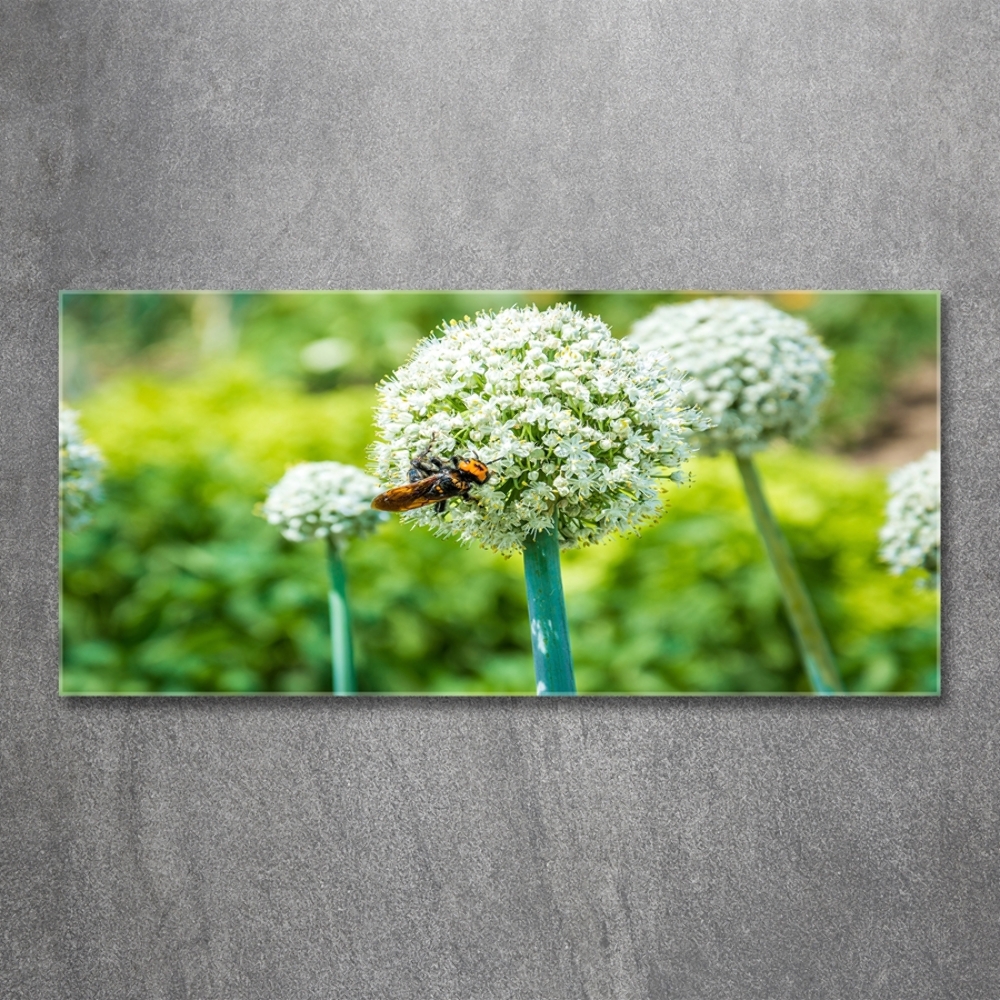 Wall art on glass Flowering garlic