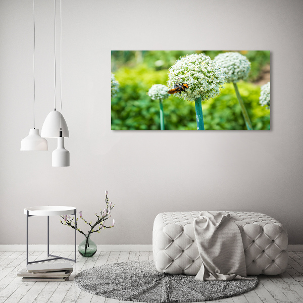 Wall art on glass Flowering garlic