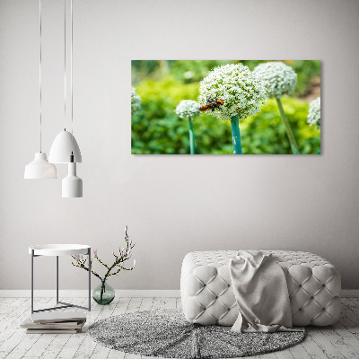 Wall art on glass Flowering garlic