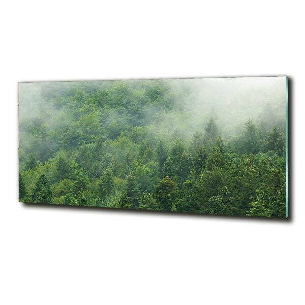 Glass wall art Mysterious forest