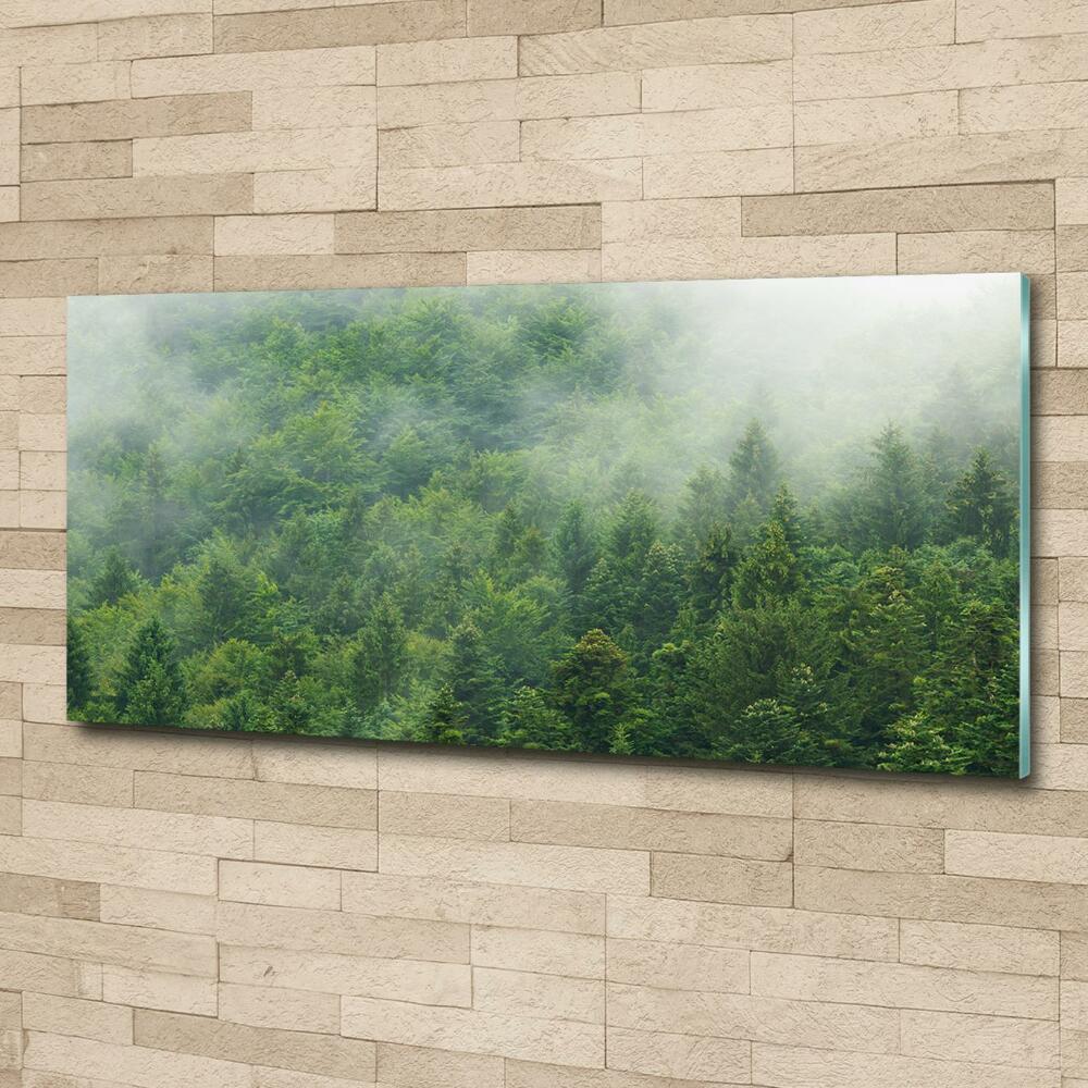 Glass wall art Mysterious forest