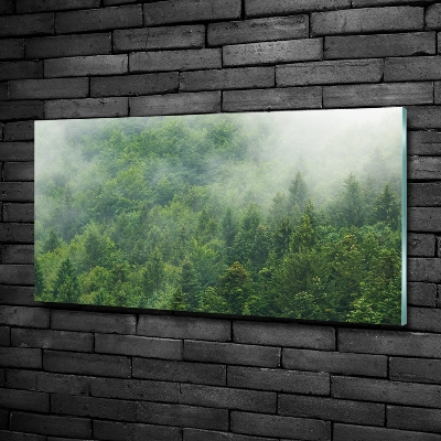 Glass wall art Mysterious forest