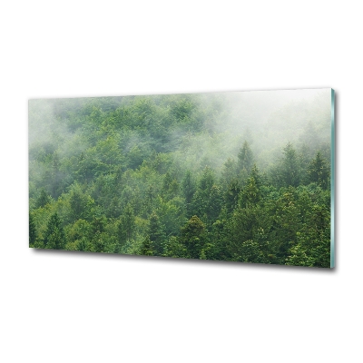 Glass wall art Mysterious forest