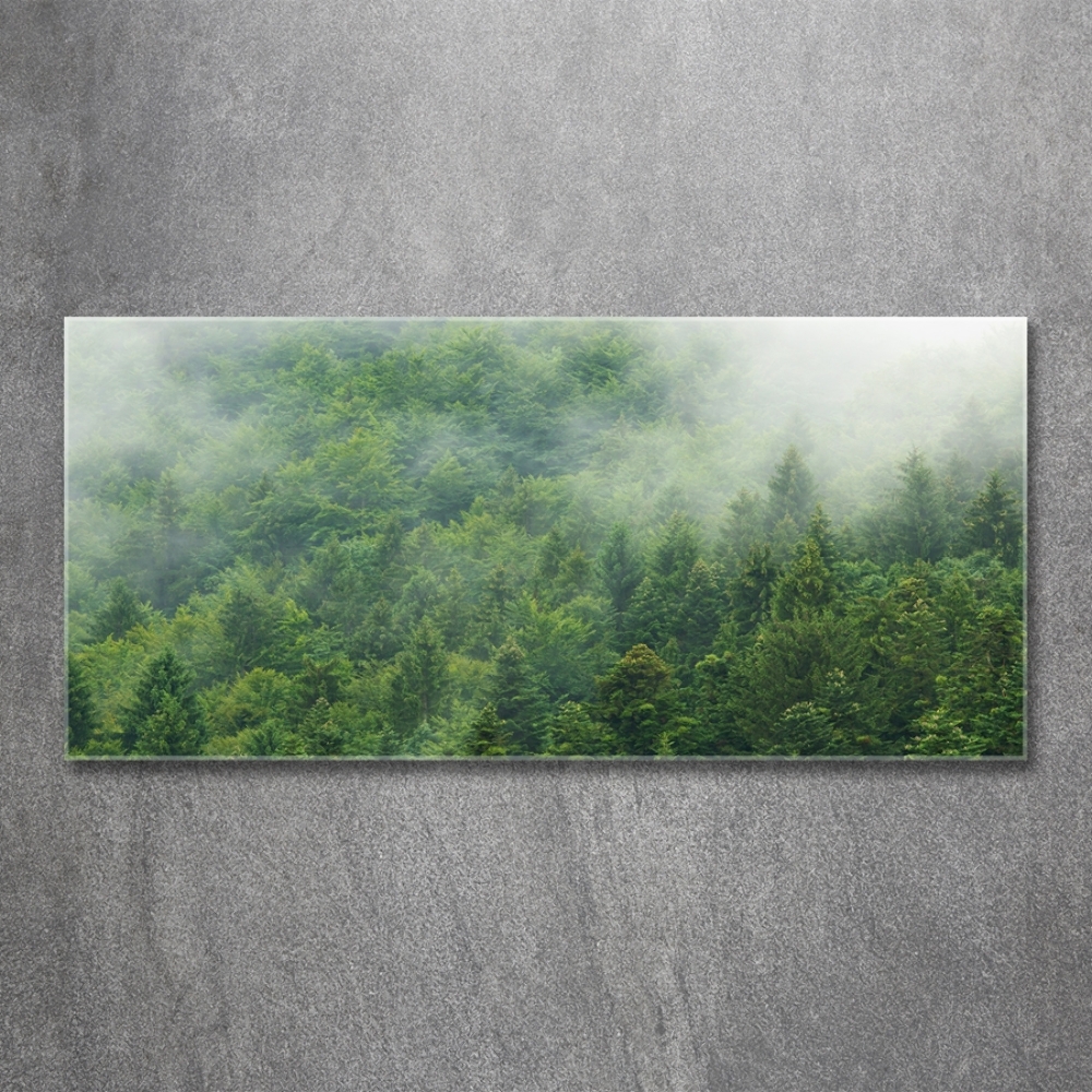 Glass wall art Mysterious forest