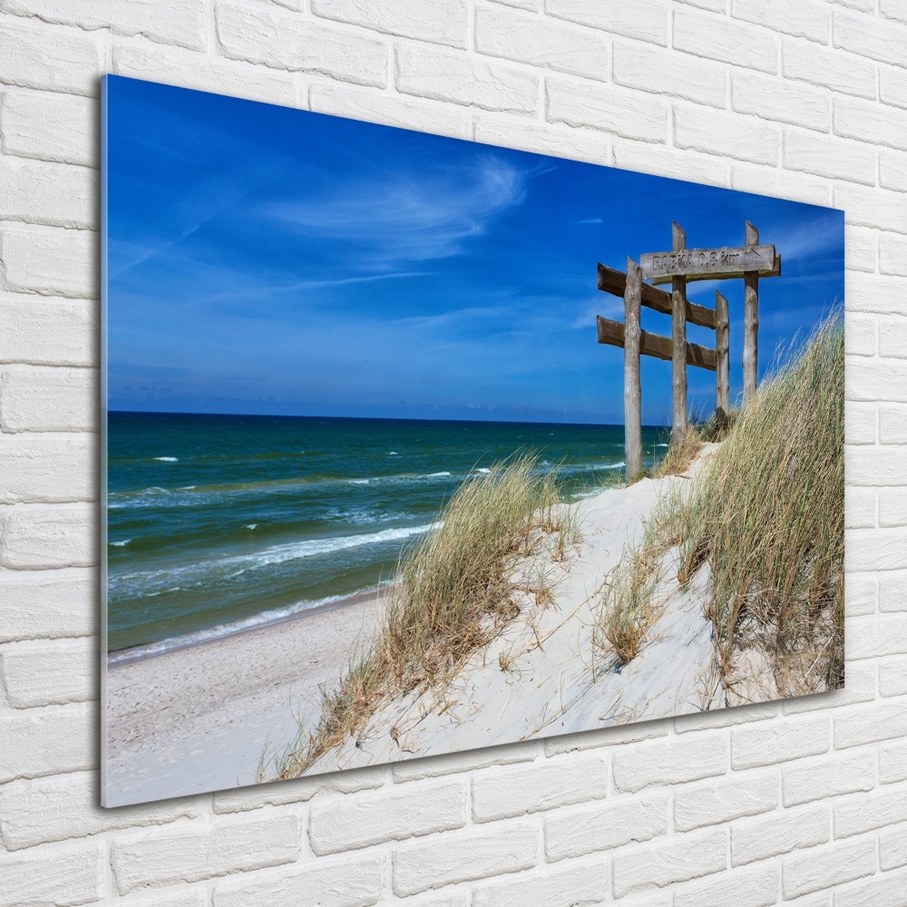 Glass wall art Coastal dunes