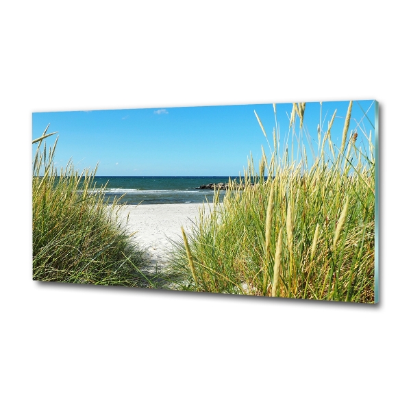 Wall art on glass Coastal dunes