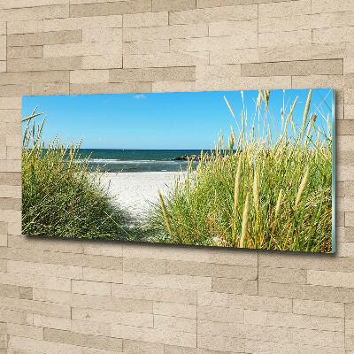 Wall art on glass Coastal dunes