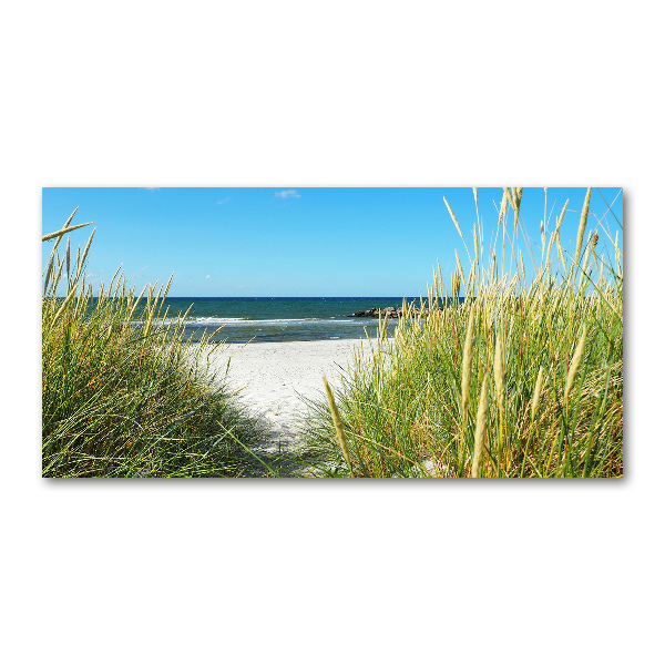 Wall art on glass Coastal dunes