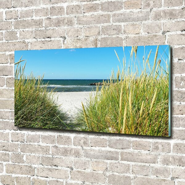 Wall art on glass Coastal dunes