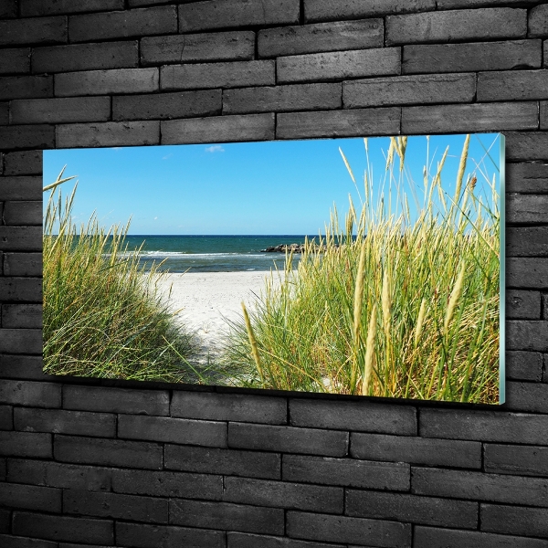 Wall art on glass Coastal dunes