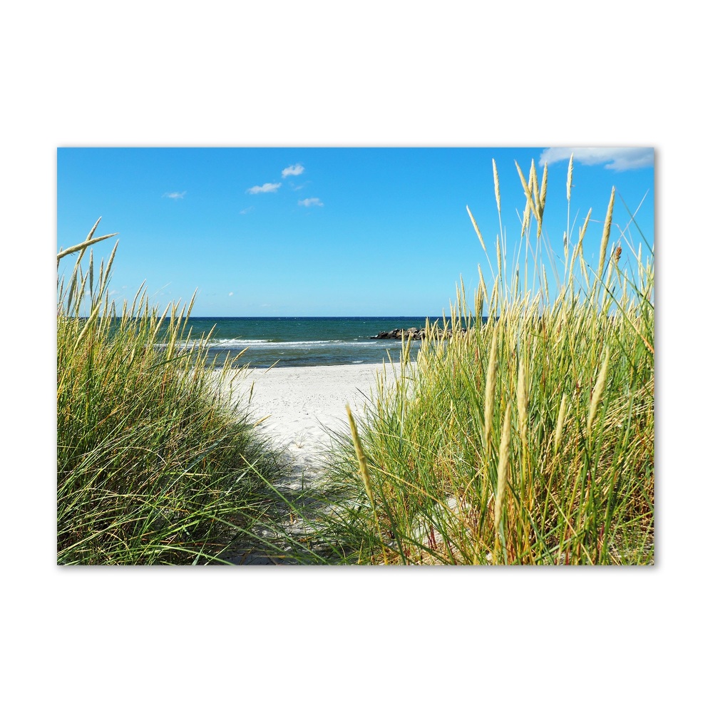 Wall art on glass Coastal dunes