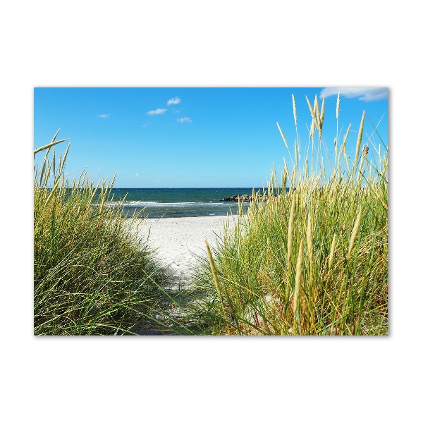 Wall art on glass Coastal dunes