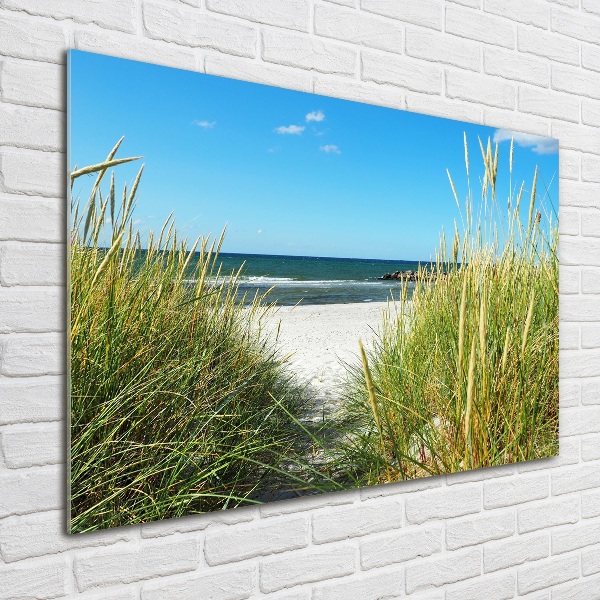 Wall art on glass Coastal dunes