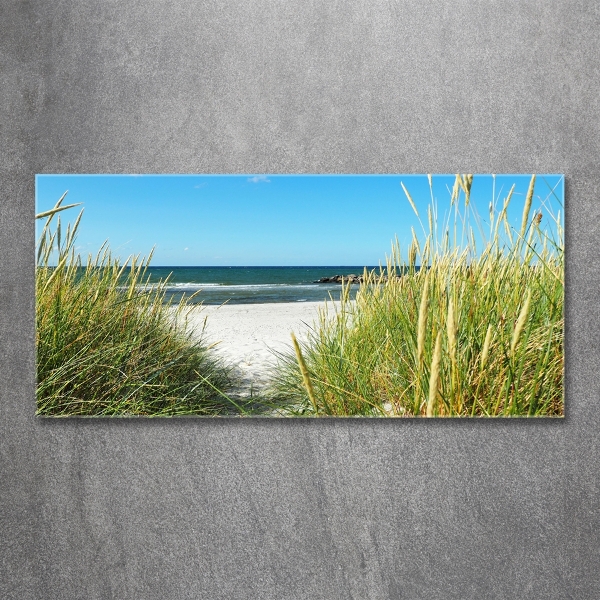 Wall art on glass Coastal dunes