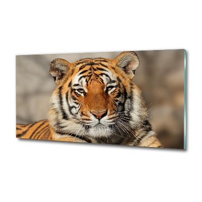 Wall art on glass Bengal tiger