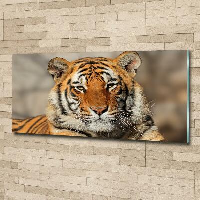 Wall art on glass Bengal tiger