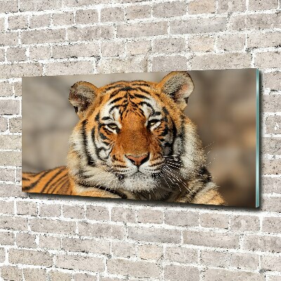 Wall art on glass Bengal tiger