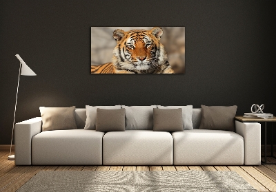 Wall art on glass Bengal tiger