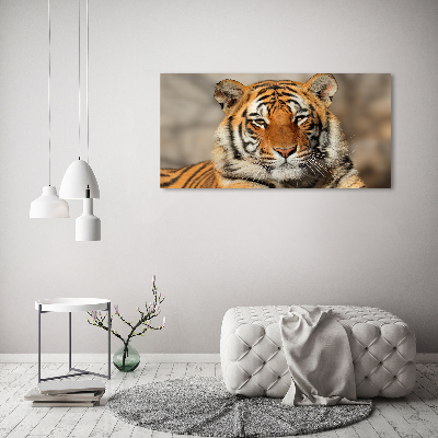 Wall art on glass Bengal tiger