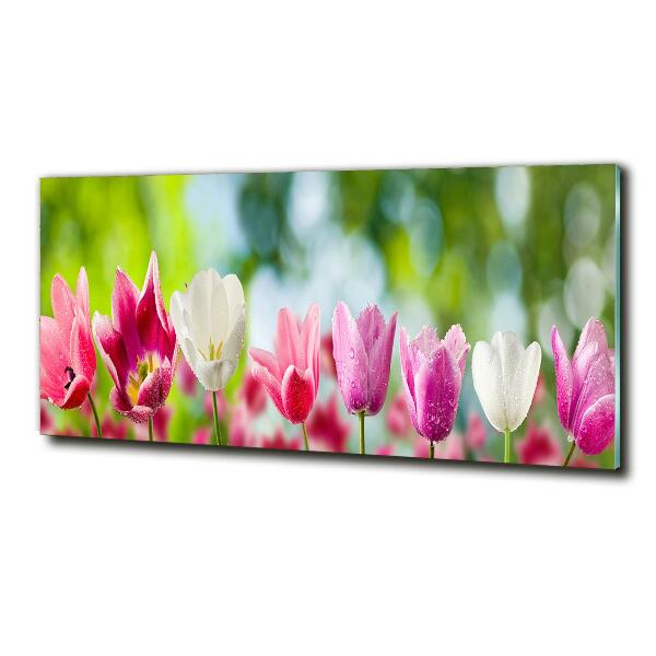 Wall art on glass Tulips