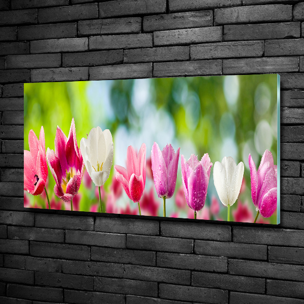 Wall art on glass Tulips