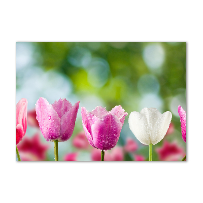 Wall art on glass Tulips