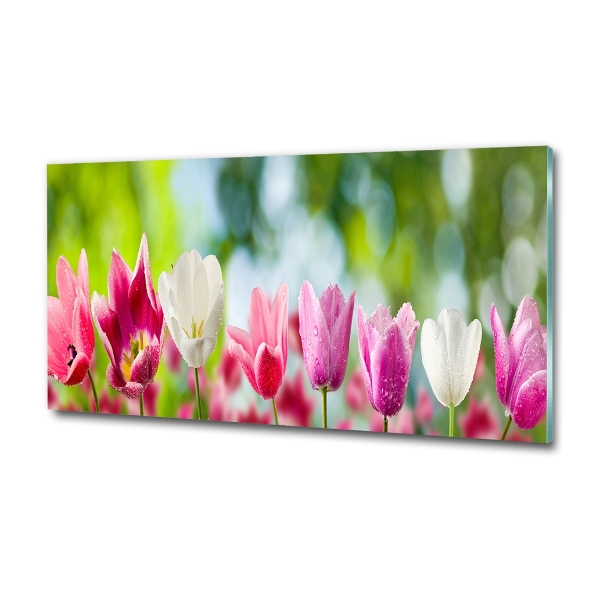 Wall art on glass Tulips