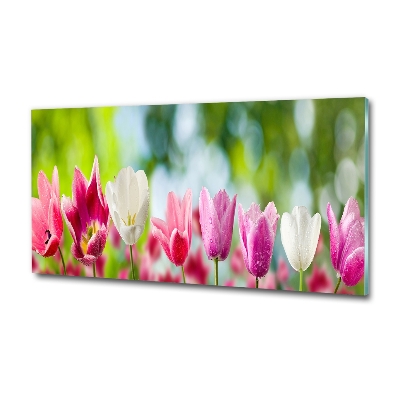 Wall art on glass Tulips