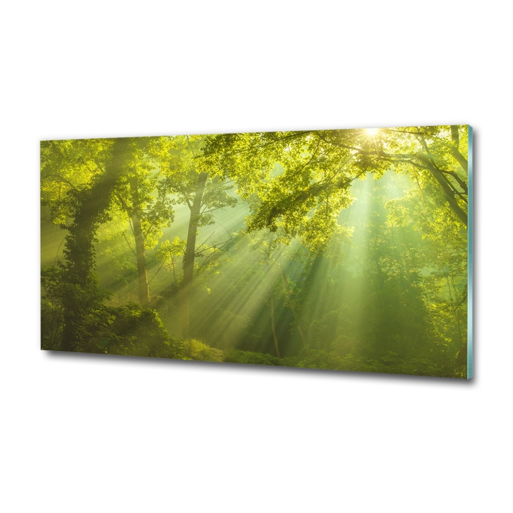 Glass art print Forest in the sun