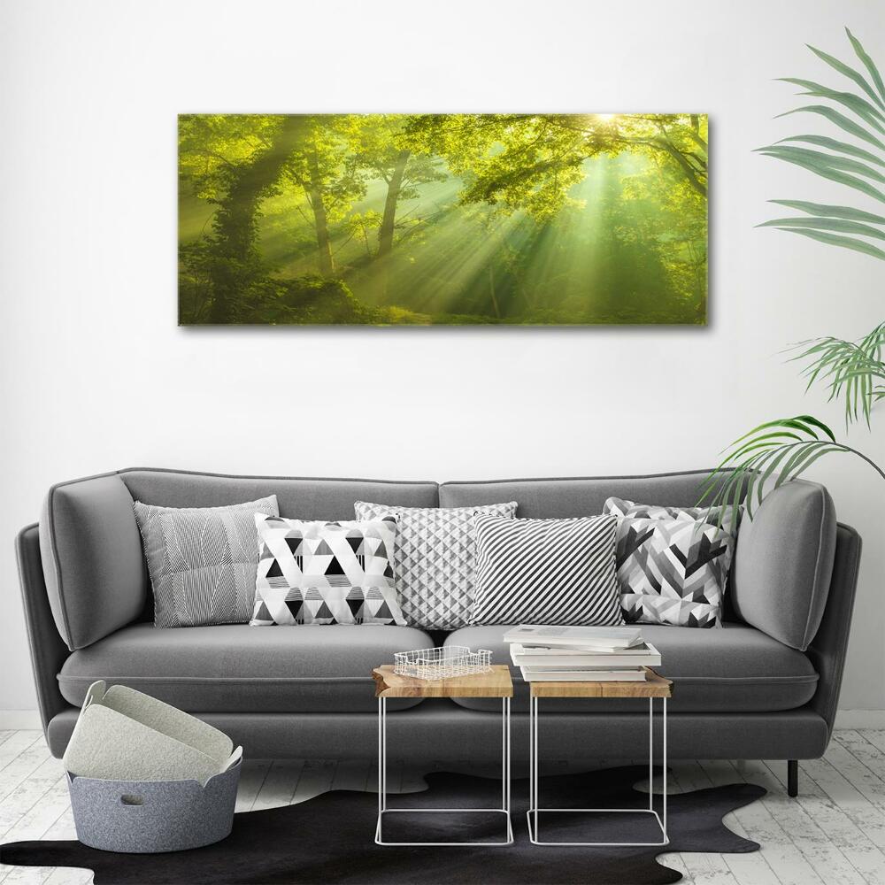 Glass art print Forest in the sun