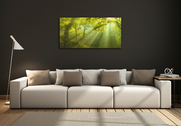 Glass art print Forest in the sun