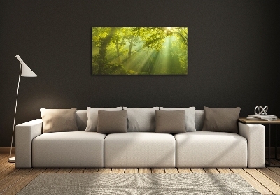 Glass art print Forest in the sun