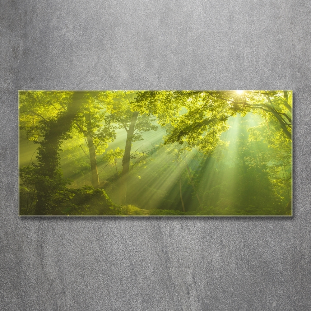 Glass art print Forest in the sun