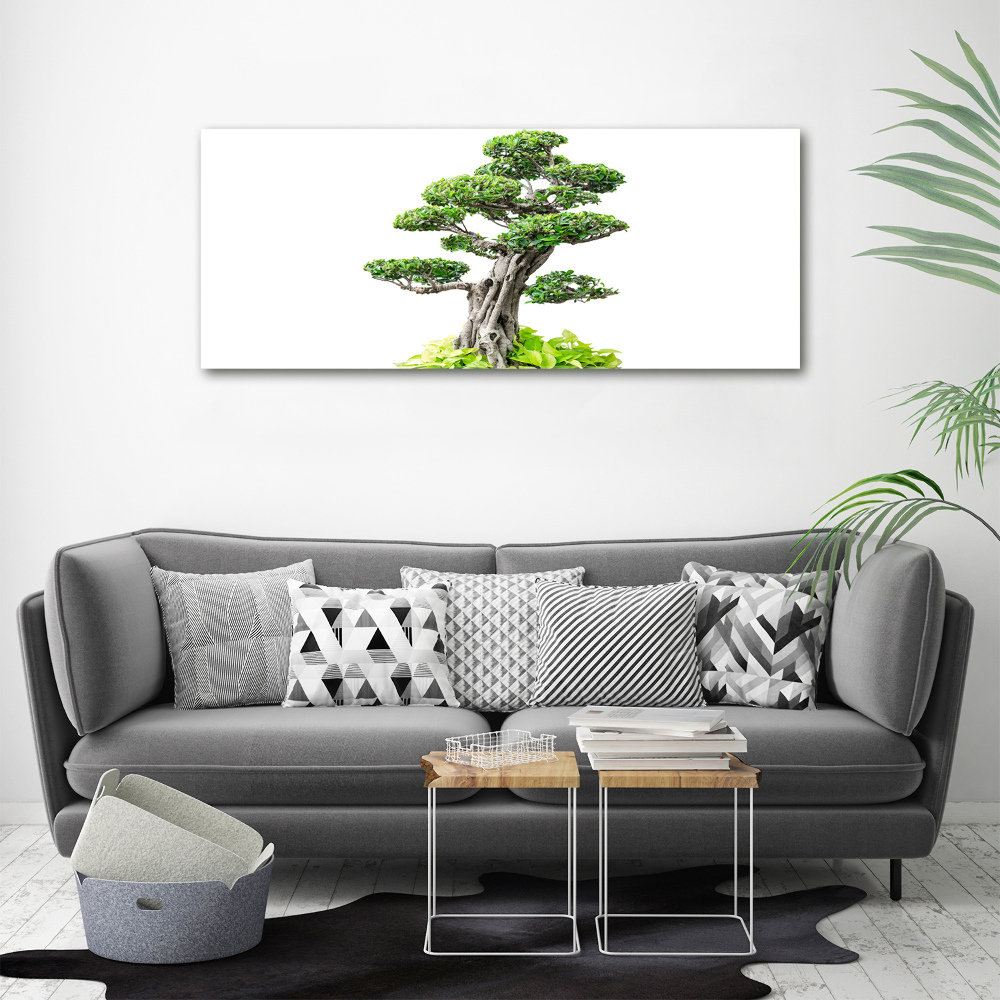 Glass wall art Bonsai tree