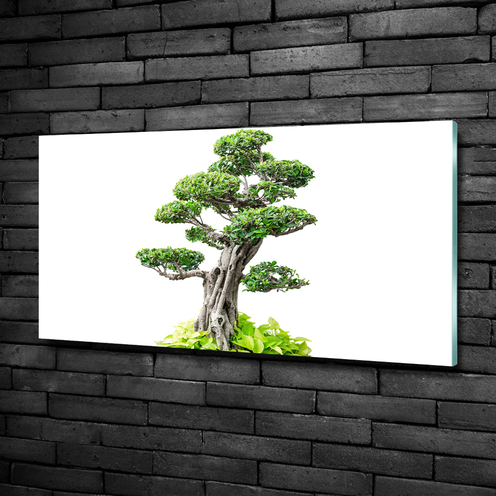 Glass wall art Bonsai tree