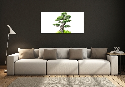 Glass wall art Bonsai tree