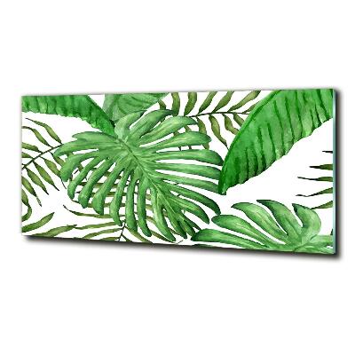 Photo printed on glass Tropical leaves