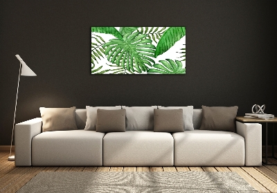 Photo printed on glass Tropical leaves