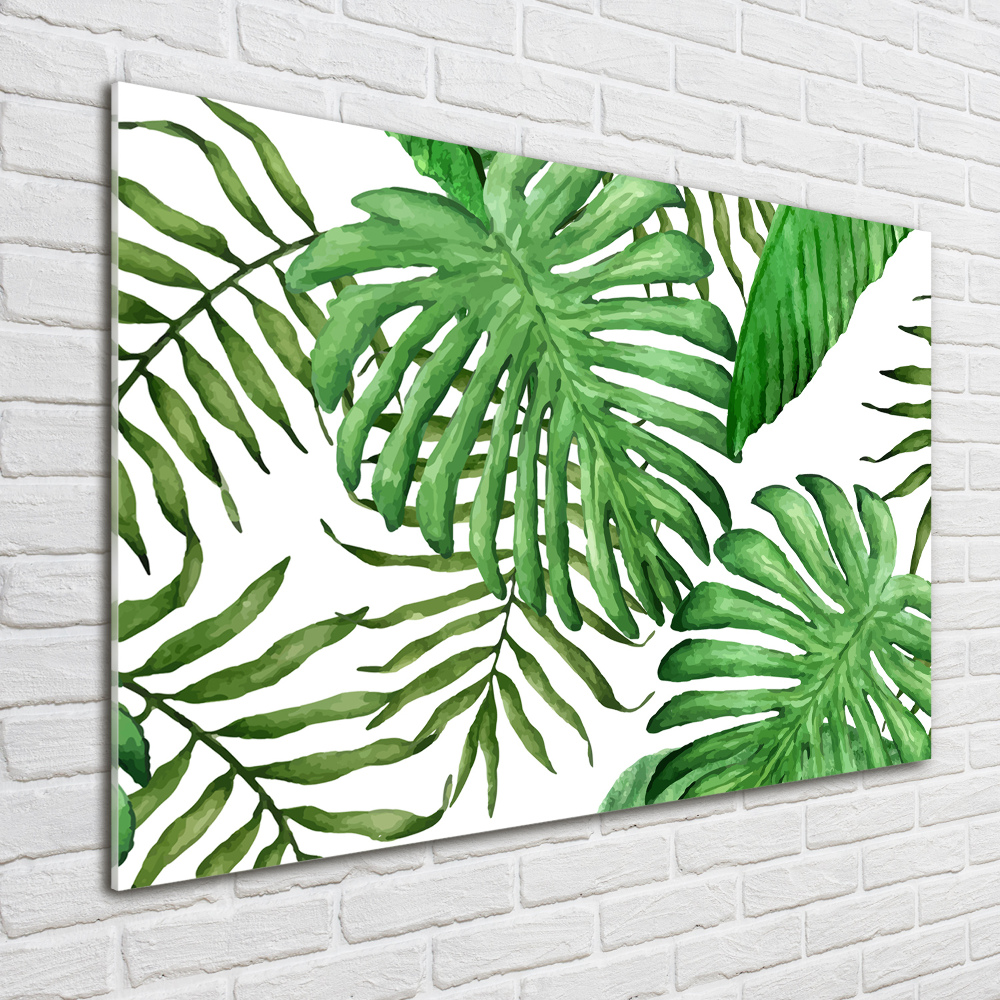 Photo printed on glass Tropical leaves