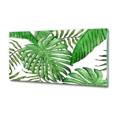 Photo printed on glass Tropical leaves