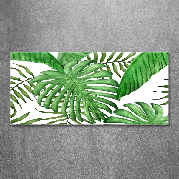 Photo printed on glass Tropical leaves