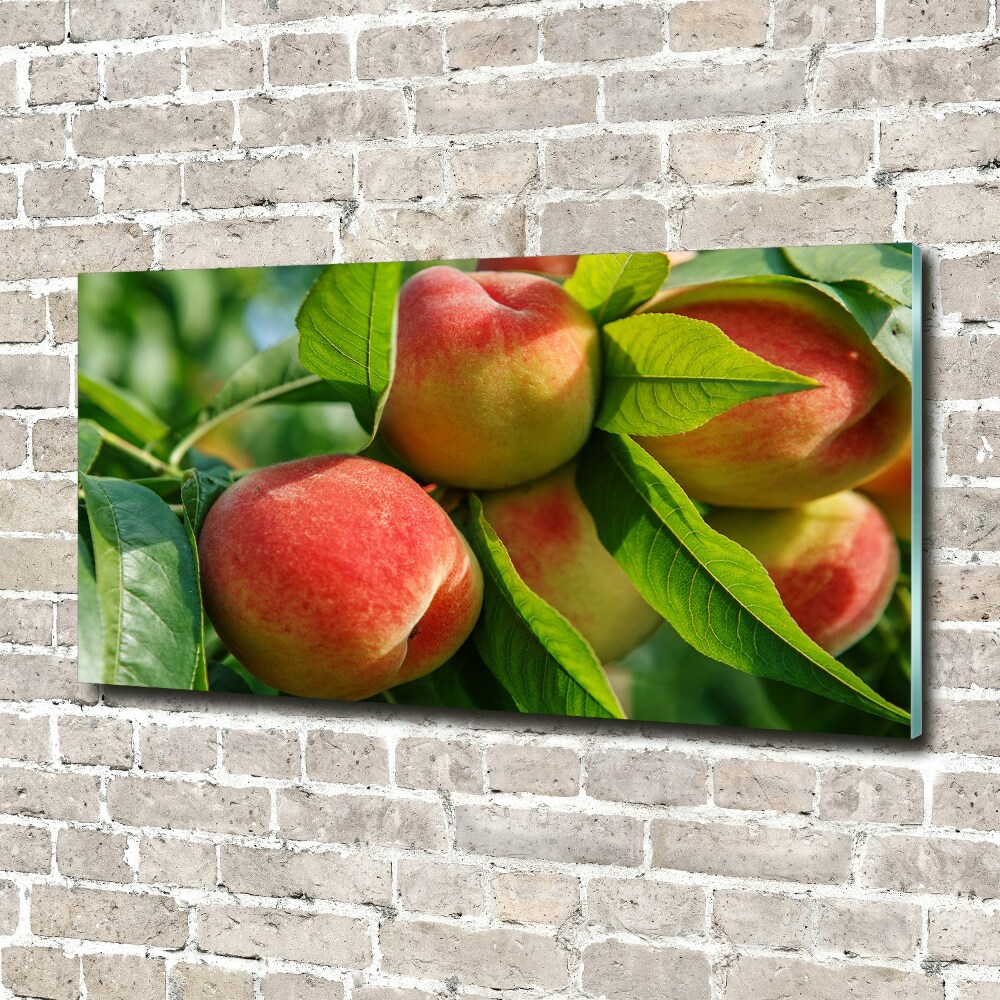 Glass art print Peaches