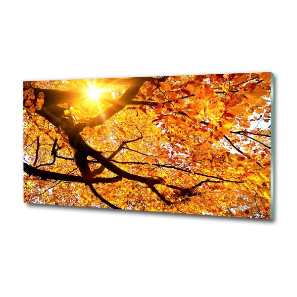 Wall art on glass Crown of trees autumn