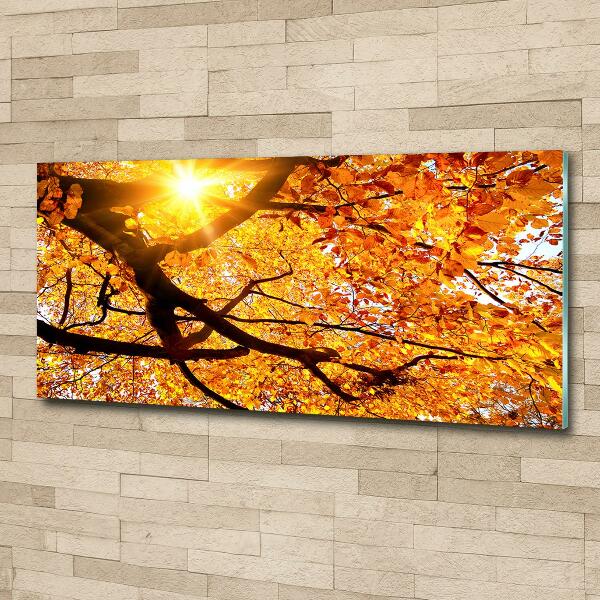 Wall art on glass Crown of trees autumn