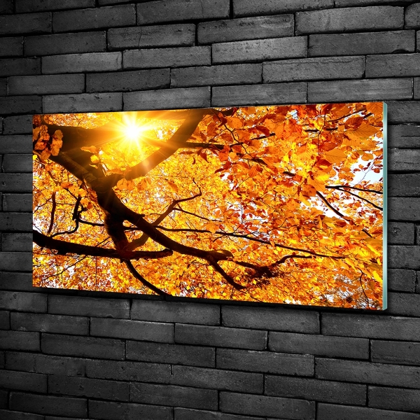 Wall art on glass Crown of trees autumn